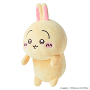 Posture Pal - CHiiKAWA - Display Ready