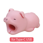 CABLE BITE for Type-C USB - Easy Carry