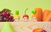 HIPPERS - Harvest Series - Gift Ready