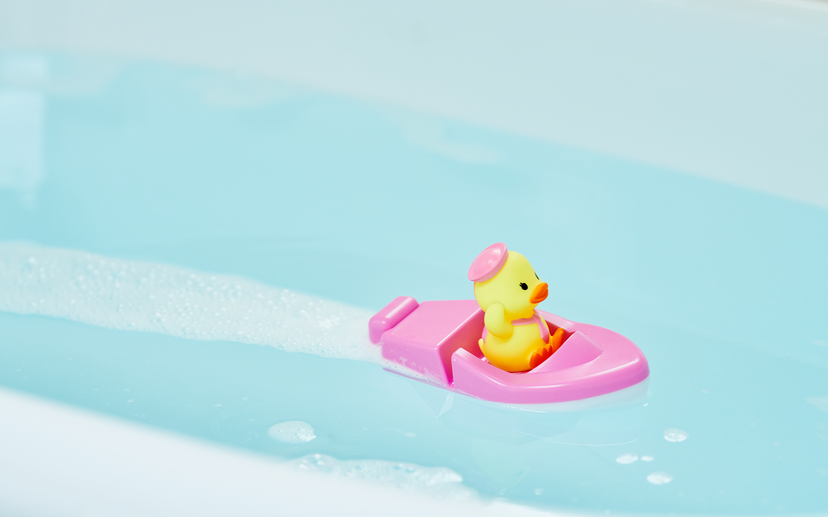 Duck Sailor Boat - Daily Pick