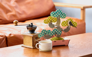 Play Plants Bonsai Puzzles - Premium Pick