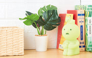 SMISKI Touch Light - Daily Pick