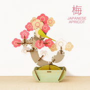 Play Plants Bonsai Puzzles - Premium Pick