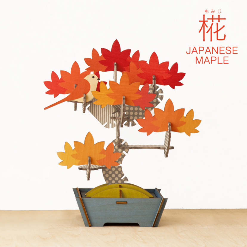 Play Plants Bonsai Puzzles - Premium Pick