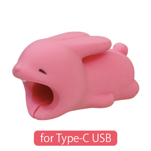 CABLE BITE for Type-C USB - Easy Carry